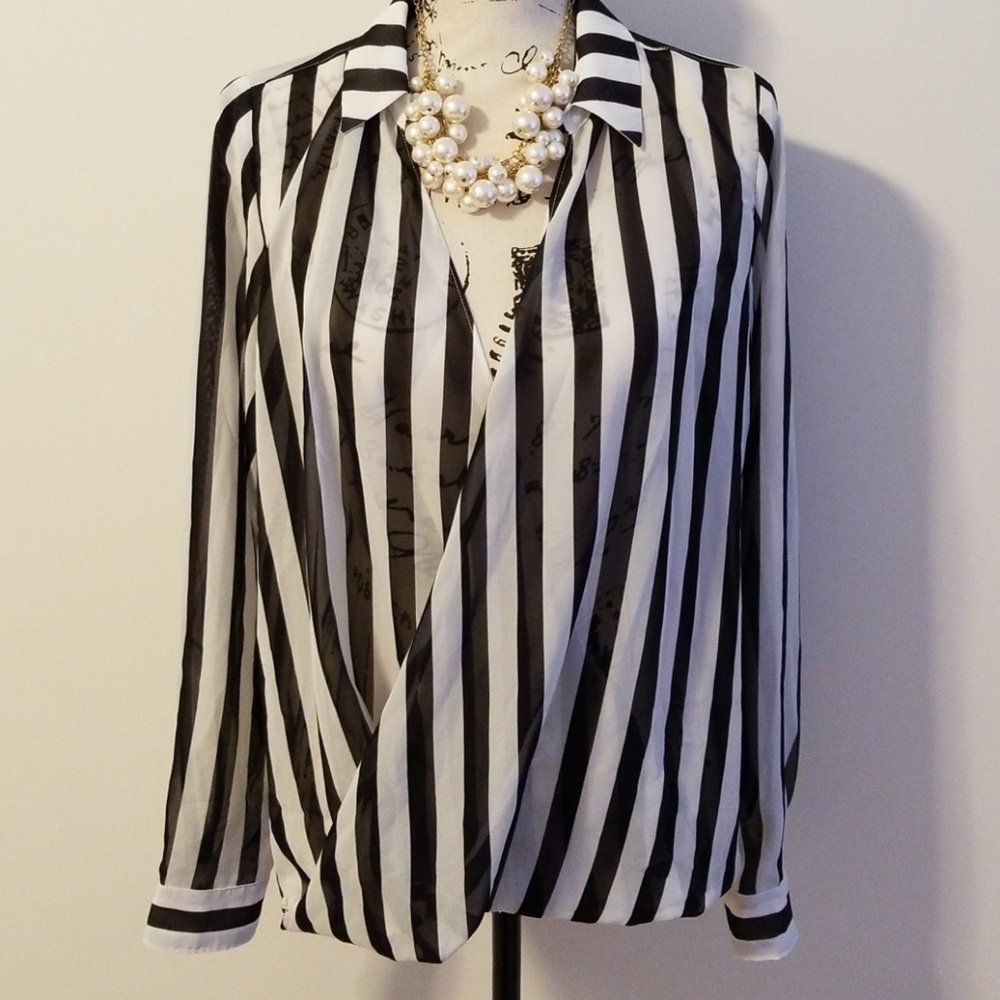 The Limited Blouse